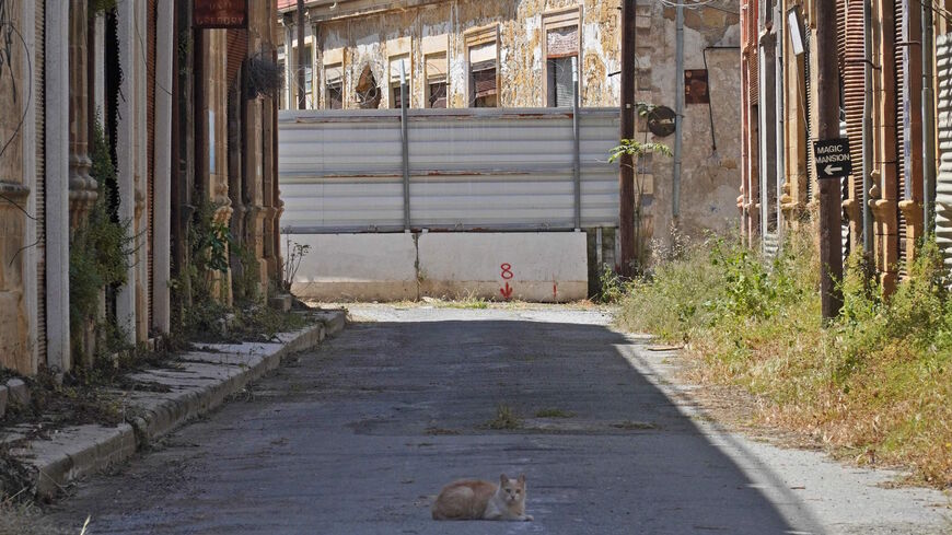 A cat is pictured inside the buffer zone that separates the internationally recognized Republic of Cyprus and the breakaway Turkish Republic of Northern Cyprus in the divided capital Nicosia, on April 26, 2021.