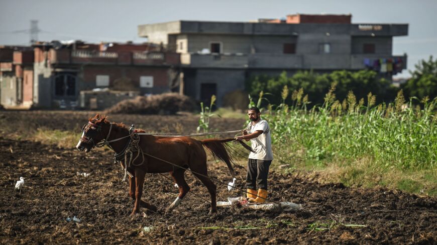 A farmer waits for the irrigation system to finish watering his field in Kafr al-Dawar village in northern Egypt's Nile Delta, on Nov. 26, 2018. 