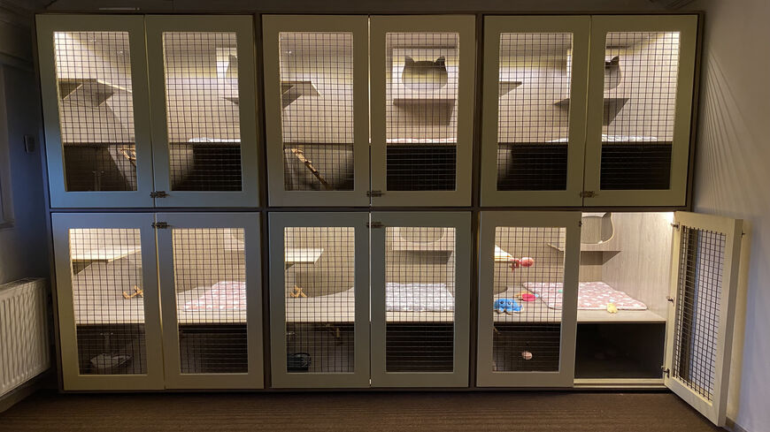 This photo shows some of the "hotel rooms" of the cats at the Mau Hotel, Amman, Jordan, Oct. 10, 2021.