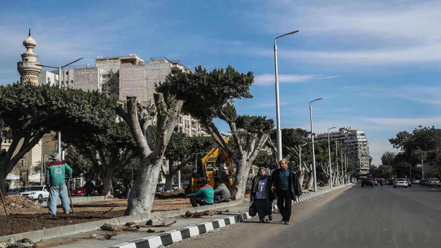 Partially cut-off trees are seen in a street in Heliopolis, Cairo, Egypt, Jan. 27, 2020.