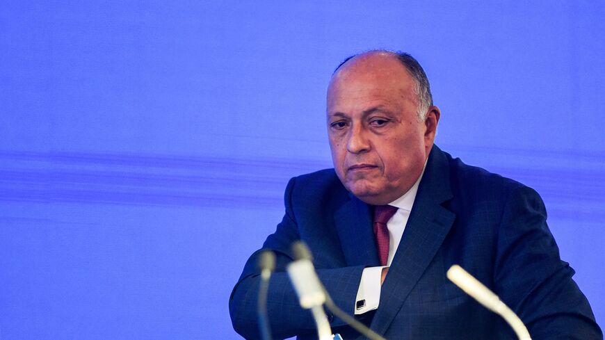 Egypt Shoukry