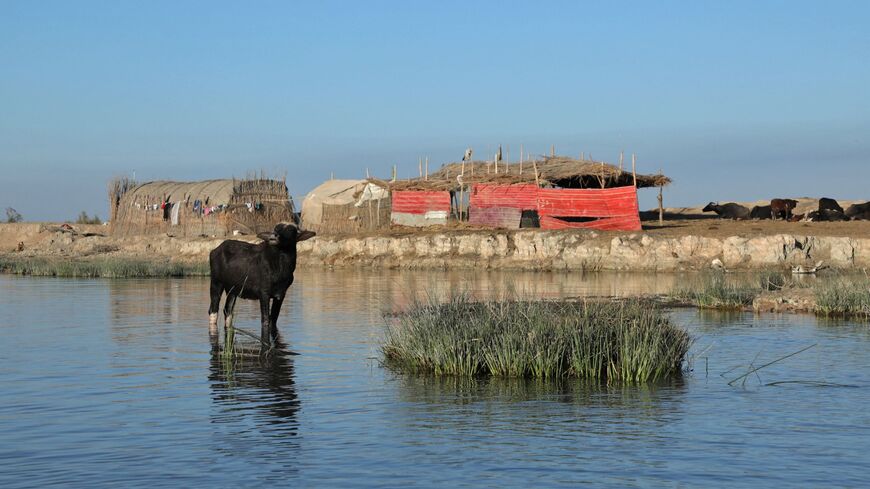 Iraq marsh 