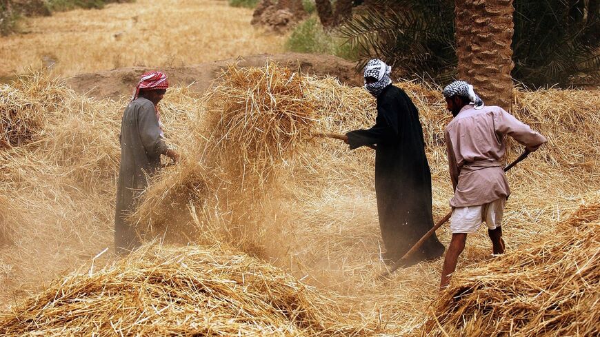 Iraq crops