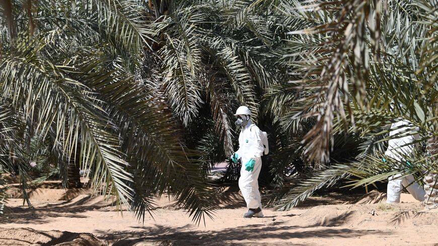 UAE agriculture