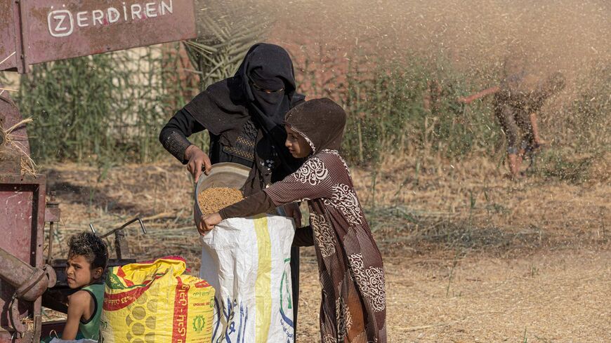 Egyptian farmers harvest wheat in Bamha village.