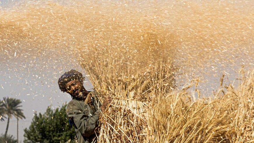 Egypt wheat