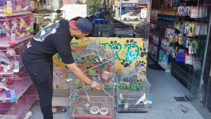 Pet trader Mahmud Safwat feeds birds outside his shop, Giza, Egypt, July 2022.