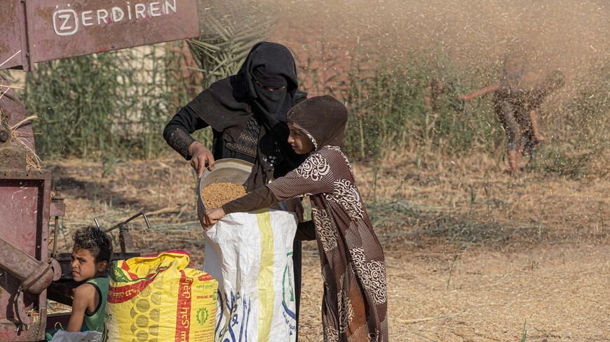 Egyptian farmers harvest wheat in Bamha village near al-Ayyat town, Giza province, Egypt, May 17, 2022.