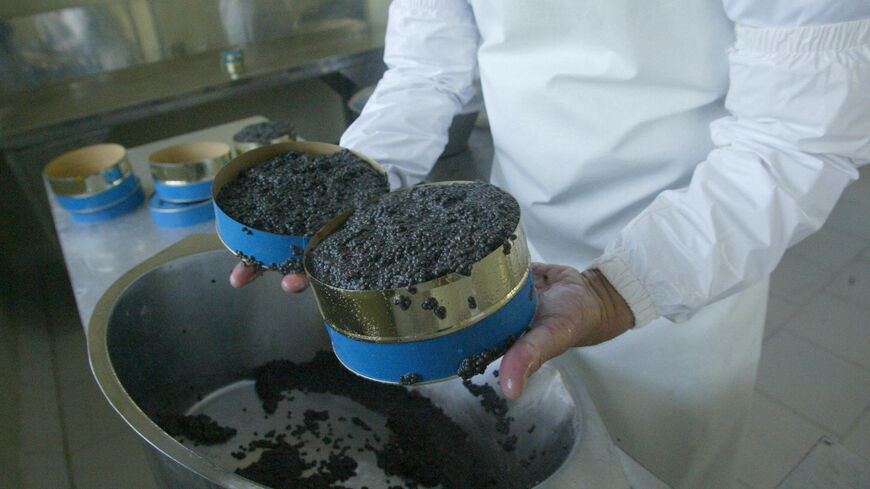 An Iranian Turkman worker packages beluga caviar.