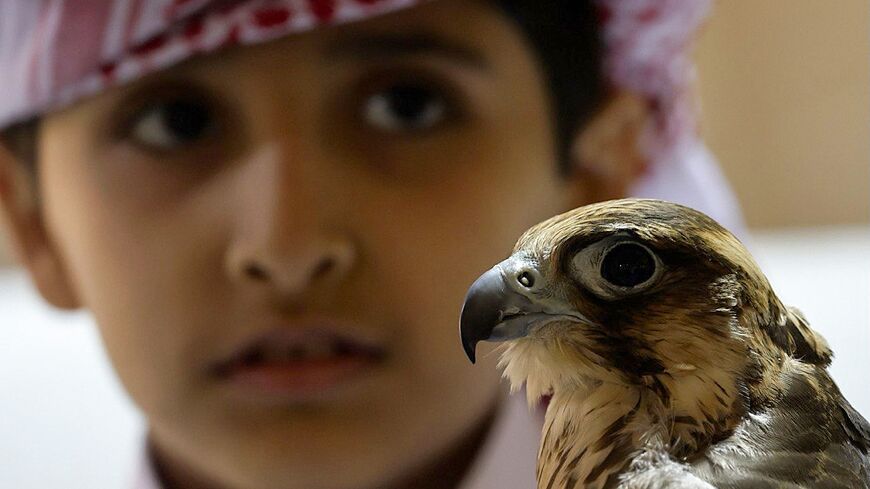 A boy competes in a falconry competition in Qatar, a traditional hunting sport in the Gulf nation