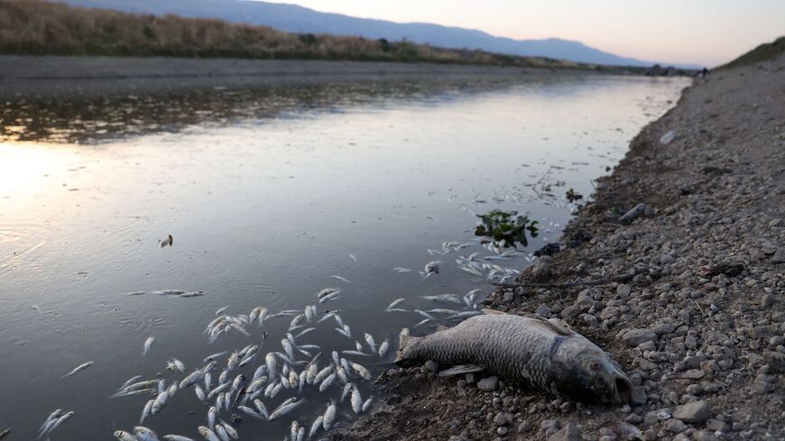 OMAR HAJ KADOUR/AFP via Getty Images