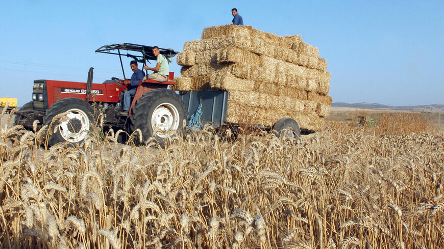 A Tunisian farmer harvests wheat on June 26, 2008 in the Mateur area near the northern Tunisian city of Bizerte. A two-day conference organized by the African Development Bank (BAD) opened on June 25, 2008 in Tunis to boost agriculture in light of the food crisis hitting Africa. Experts are to evaluate and analyze difficulties affecting the African agricultural sector in order to be more reactive to needs. AFP PHOTO FETHI BELAID (Photo credit should read FETHI BELAID/AFP via Getty Images)