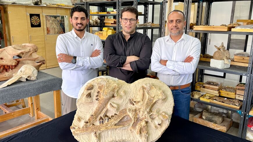 Palaeontologists led by Hesham Sallam of the American University in Cairo (R) show off the type specimen of Tutcetus rayanensis, an extinct species of whale that lived 41 million years ago and still had recognisable legs