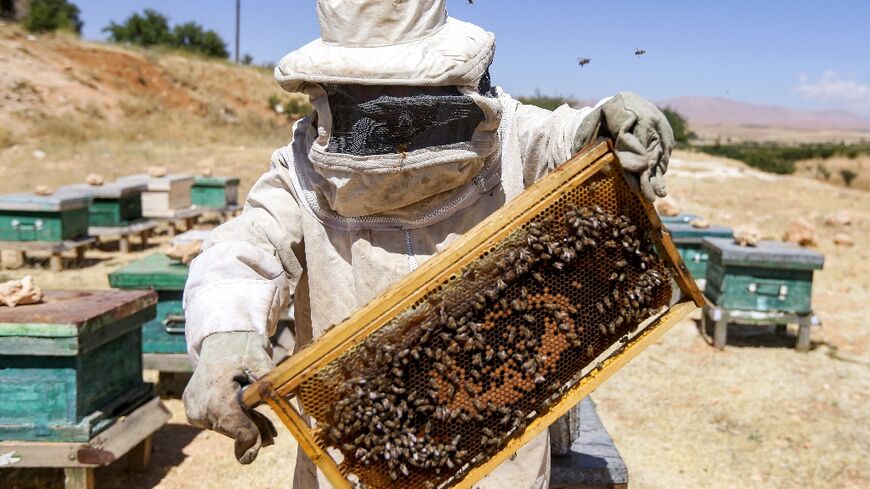 Syrian beekeeper Ibrahim Damiriya tends to his hives near Damascus