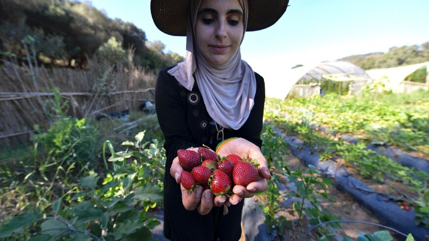 Ibtissem Mahtout with a handful of freshly picked strawberries