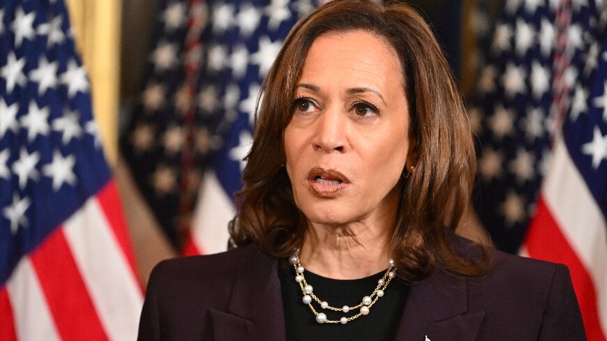 US Vice President Kamala Harris speaks to the press after meeting with Israeli Prime Minister Benjamin Netanyahu on July 25, 2024