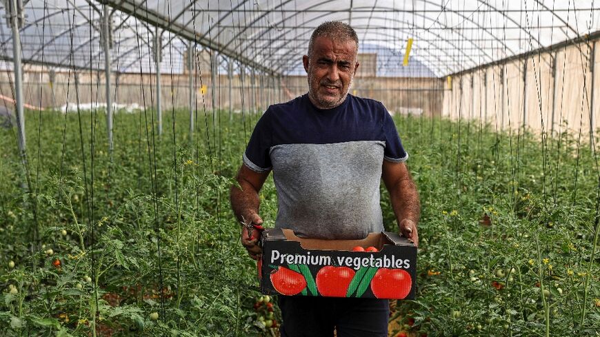 Hussein Jamil is one of dozens of Palestinian farmers who have set up greenhouses in the West Bank after they lost permission to work in Israel in the wake of the Gaza war 