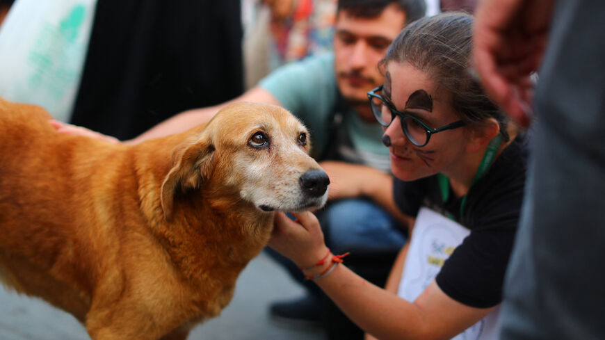 Turkish animal rights activists pet a dog during a demonstration to protect stray dogs and cats in Istanbul on July 30, 2024. 