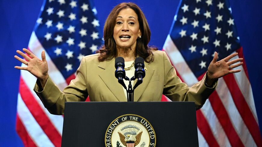 Vice President Kamala Harris speaks during a campaign event at the Asian and Pacific Islander American Vote Presidential Town Hall at the Pennsylvania Convention Center on July 13, 2024, in Philadelphia, Pennsylvania.