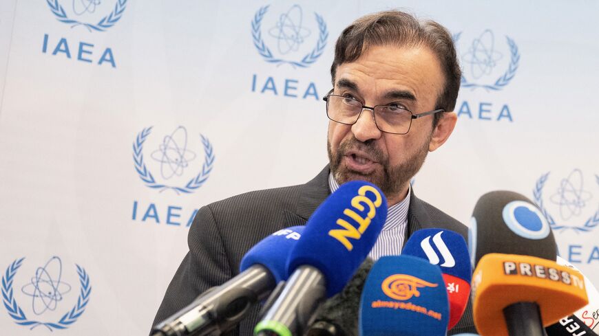 Reza Najafi, Iran's ambassador to the International Atomic Energy Agency.