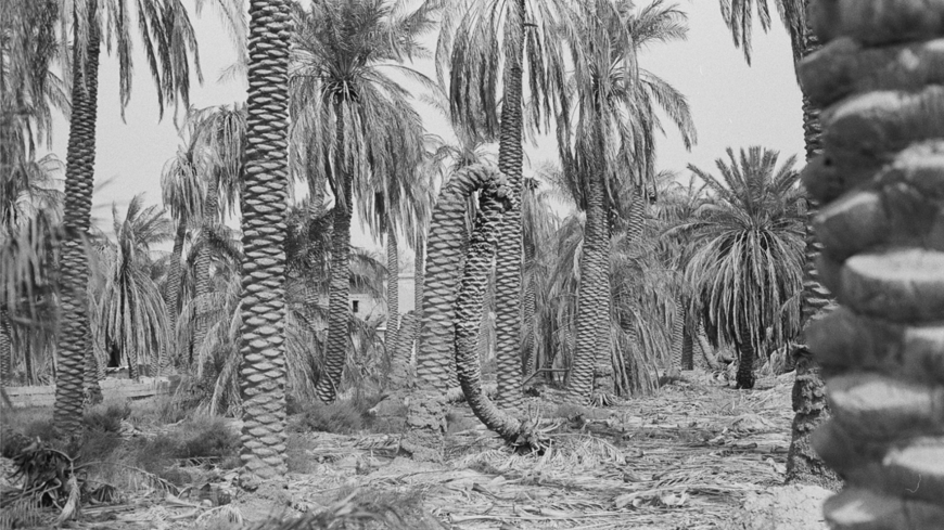 Riyadh 1