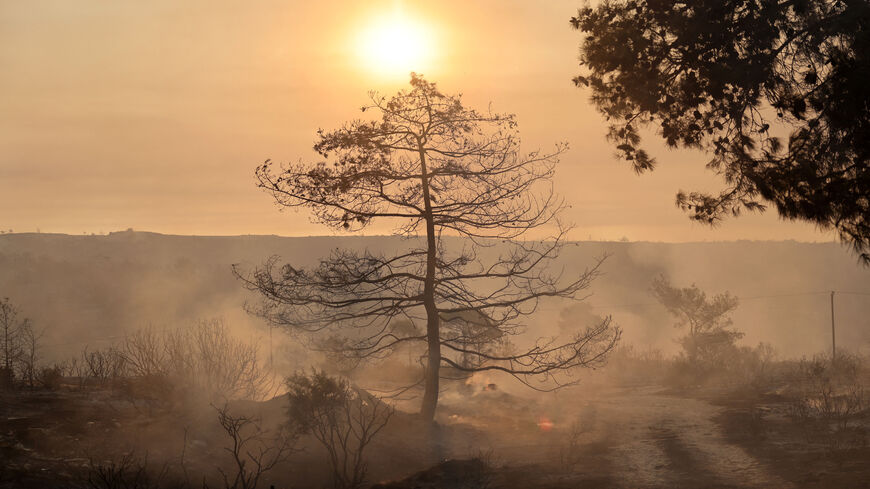 A burnt tree is seen during a wildfire at the area of Souni near Limassol, Cyprus July 24, 2025. REUTERS/Yiannis Kourtoglou
