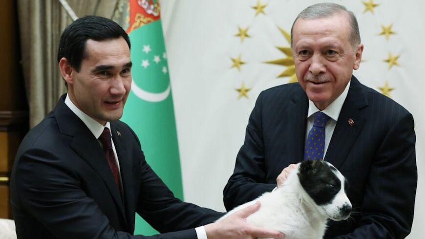 Turkmen Alabai