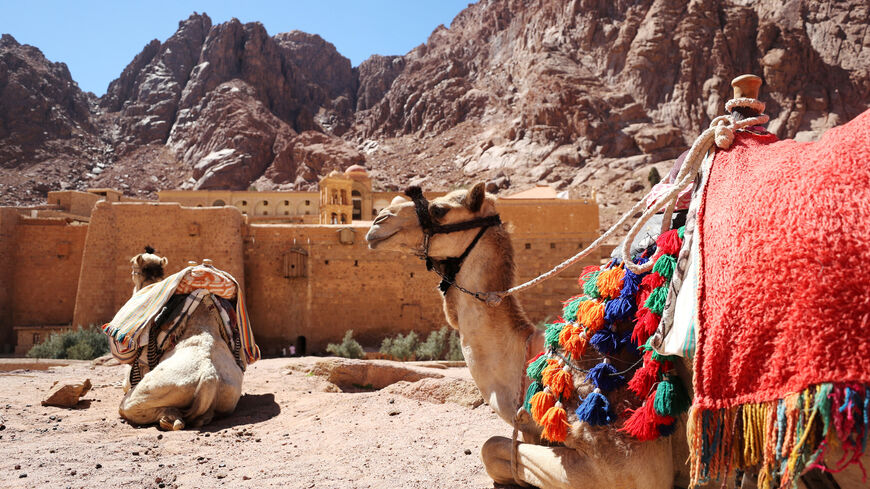 FILE PHOTO: Camels rest next to St. Catherine's Monastery in South Sinai, Egypt, March 7, 2019. Picture taken March 7, 2019.  REUTERS/Mohamed Abd El Ghany/File Photo