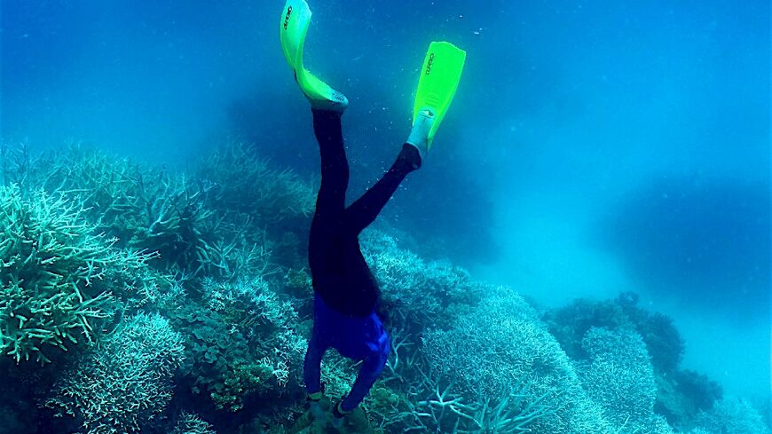 Coral reefs are highly sensitive to changing conditions in the oceans and global warming poses the greatest threat to these vibrant ecosystems.