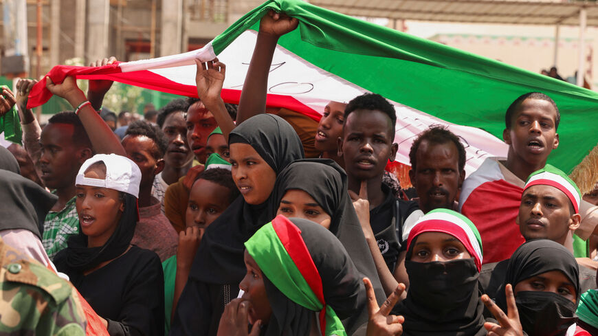FILE PHOTO: People hold the flag of Somaliland during the parade in Hargeisa, Somaliland, May 18, 2024. REUTERS/Tiksa Negeri/File Photo