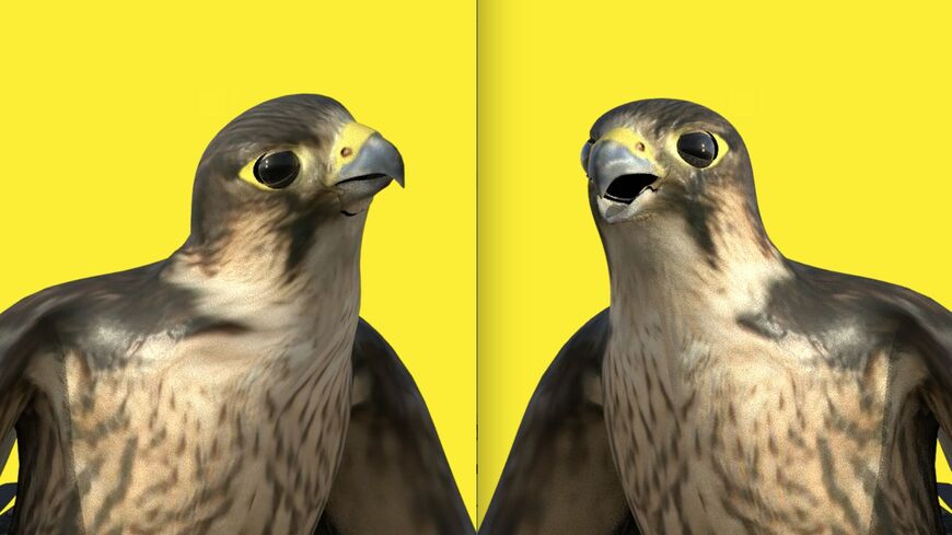 Ahaad Alamoudi, “Those Who Don’t Know Falcons Grill Them” (still), 2018. (Photo courtesy of the artist)