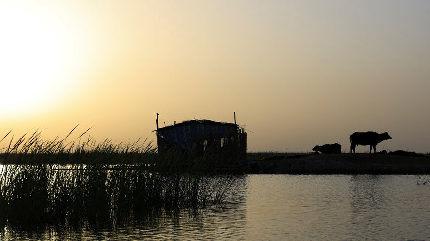 A water buffalo stands near a reed shelter during sunrise at the Chibayish marshes in Dhi Qar province, Iraq, May 7, 2026. REUTERS/Thaier Al-Sudani