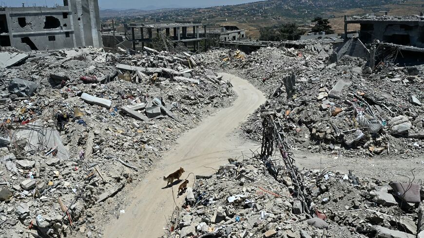 FADEL itani / AFP via Getty Images