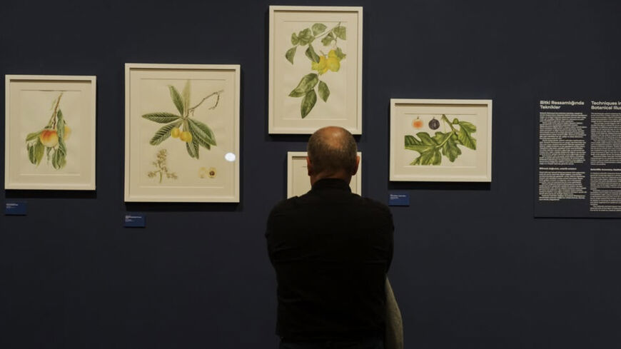 A visitor at “Botanica: Plants of Anatolia.” (Photo courtesy of Erimtan Archaeology and Arts Museum)