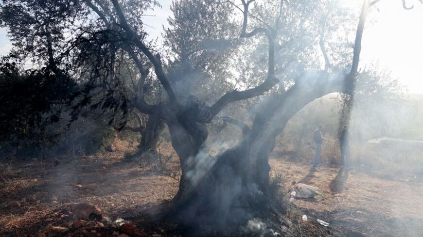 Israeli settlers attack Palestinians harvesting olives near Turmus Ayya