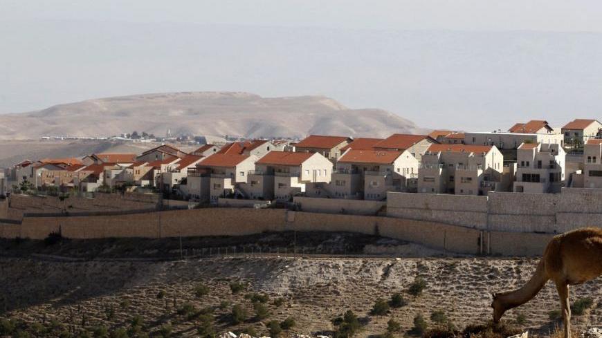 A camel grazes on a hill in what is called the E1 area overlooking the Jewish settlement of Maale Adumim near Jerusalem December 1, 2012. An Israeli official said Prime Minister Benjamin Netanyahu's conservative government had authorised the construction of 3,000 housing units and ordered preliminary zoning and planning work for thousands of units in Jerusalem and settlement blocs including Maale Adumim and E1. REUTERS/Baz Ratner (WEST BANK - Tags: CIVIL UNREST BUSINESS CONSTRUCTION ANIMALS)