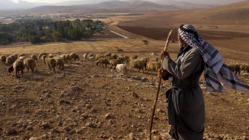 A Palestinian from the herding community of Al Hadidya in the Jordan Valley herds livestock September 12, 2011. Struggling to survive on the land, al Hadidiya is an example of a community at the sharp end of life in the Israeli-occupied West Bank and contrasts with the relative prosperity of the Palestinian Authority's administrative capital in Ramallah, where new government buildings symbolize efforts to build institutions ready for statehood. To match Insight: PALESTINIANS-ISRAEL/STATEHOOD.  Picture taken