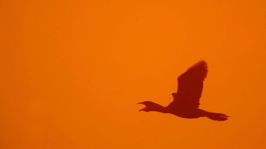 BAGHDAD, IRAQ:  A bird flies during a sand storm in Baghdad, 14 July 2005 as visibility drops to less than 50 meters. The bad weather has forced the International airport to close and has prompted many Iraqis to stay indoors.       AFP PHOTO/MARWAN NAAMANI  (Photo credit should read MARWAN NAAMANI/AFP/Getty Images)
