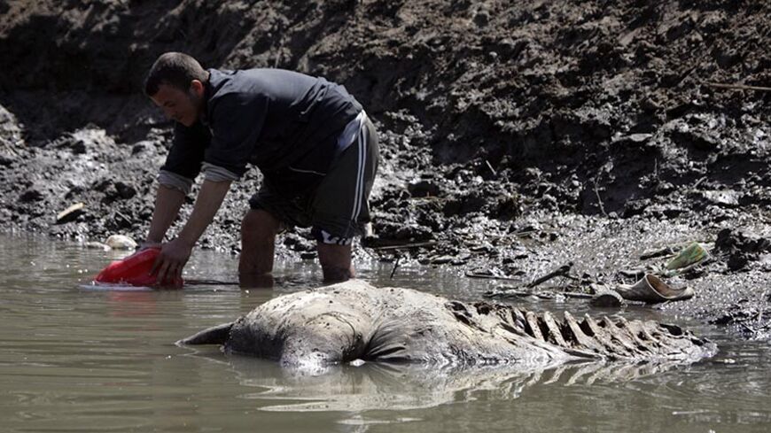 A man collects water from a canal beside a dead donkey in the Nile Delta town of Al-Borollos 300 km (186 miles) north of Cairo March 18, 2008. REUTERS/Nasser Nuri (EGYPT) - RTR1YHD4