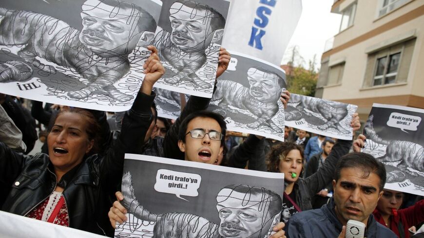 Protesters hold placards depicting Turkey's Prime Minister Tayyip Erdogan as a cat during a demostration in front of  the Supreme Electoral Board (YSK) in Ankara April 2, 2014. Riot police set up barricades as Turks continued to protest, demanding a partial recount in national polls that saw Prime Minister Tayyip Erdogan's ruling party sweep the electoral map. The placards read, "cat enters the transformer unit", referring to a statement by Energy Minister Taner Yildiz blaming cats for the reason behind the