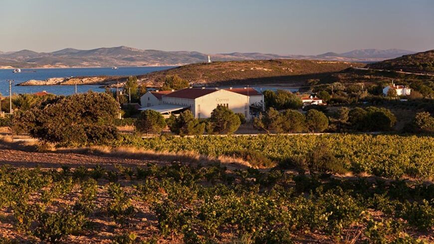 TO GO WITH AFP STORY BY PHILIPPE ALFROY 
A view of a vineyard near the Tamay Wine House on the island of Bozcaada in Turkey on September 4 ,2013. Off the coast from the mythical city of Troy, the Turkish island of Bozcaada has an ancient tradition of wine making that is both a source of cultural pride and important for local tourism. However many people on the wine-producing island feel their culture is now threatened by the conservative AKP ruling party's new legislation on alcohol which amongst other meas