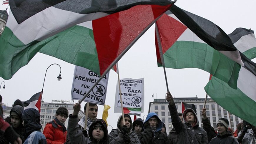 Demonstrators wave flags and hold up posters to protest Israel's military actions in Gaza, at a rally in Vienna January 5, 2009. The posters read "Freedom for Gaza - Freedom for Palestine". REUTERS/Heinz-Peter Bader (AUSTRIA) - RTR232I9