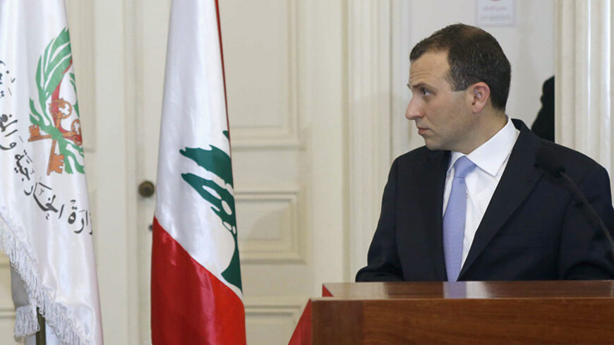 German Foreign Minister Frank-Walter Steinmeier speaks with Lebanon's Foreign Minister Gebran Bassil during a news conference in Beirut May 29, 2014. REUTERS/Mohamed Azakir (LEBANON - Tags: POLITICS) - RTR3RFF8