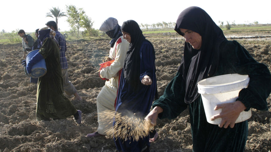 Villagers scatter wheat seeds on a field during planting season in Falluja, 50km (30 miles) west of Baghdad, November 22, 2007. REUTERS/Mohanned Faisal (IRAQ) - RTX3Y8R