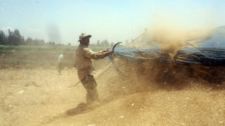 An employee works next to hay coming out of a threshing machine during a harvest of wheat crop in 6 October village in the Nile Delta province of Al-Baheira, northwest of Cairo May 22, 2014. Egypt, the world's biggest wheat importer, has bought around 3 million tonnes of local wheat from farmers since the harvest began last month, the supplies minister said on Saturday. The figures are an indication that the government appears likely to meet its aim for local purchases this year. Picture taken May 22, 2014.