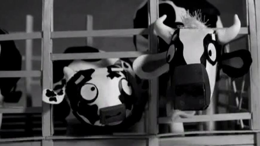 cows.JPG