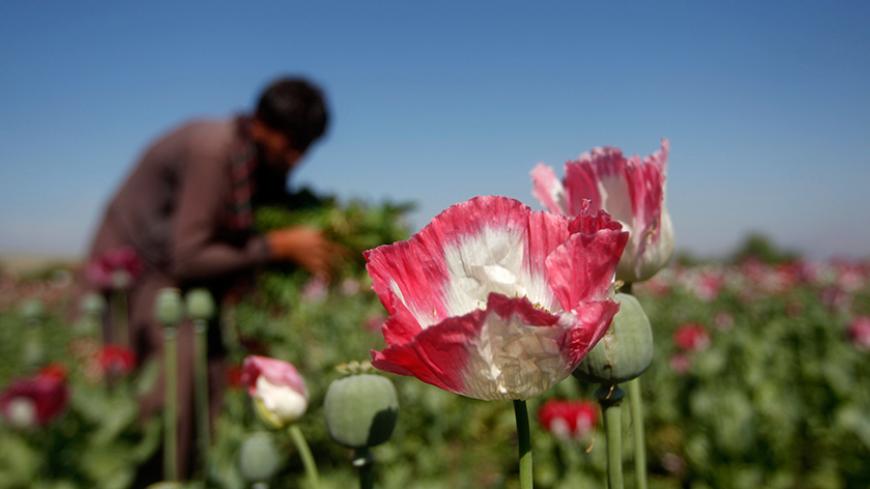 An Afghan man works on a poppy field in Jalalabad province April 17, 2014. Afghanistan is the world's top cultivator of the poppy, from which opium and heroin are produced. Despite more than a decade of efforts to wean farmers off the crop, fight corruption and cut links between drugs and the Taliban insurgency, poppy expanded to 209,000 hectares (516,000 acres) in 2013, up 36 percent from the previous year. REUTERS/ Parwiz (AFGHANISTAN - Tags: DRUGS SOCIETY AGRICULTURE ENVIRONMENT) - RTR3LOO5