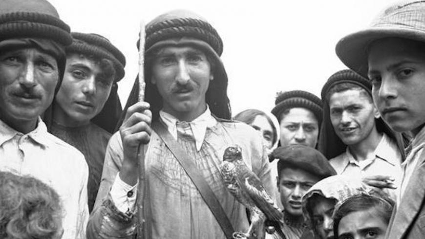 Alawite_falconer.jpg