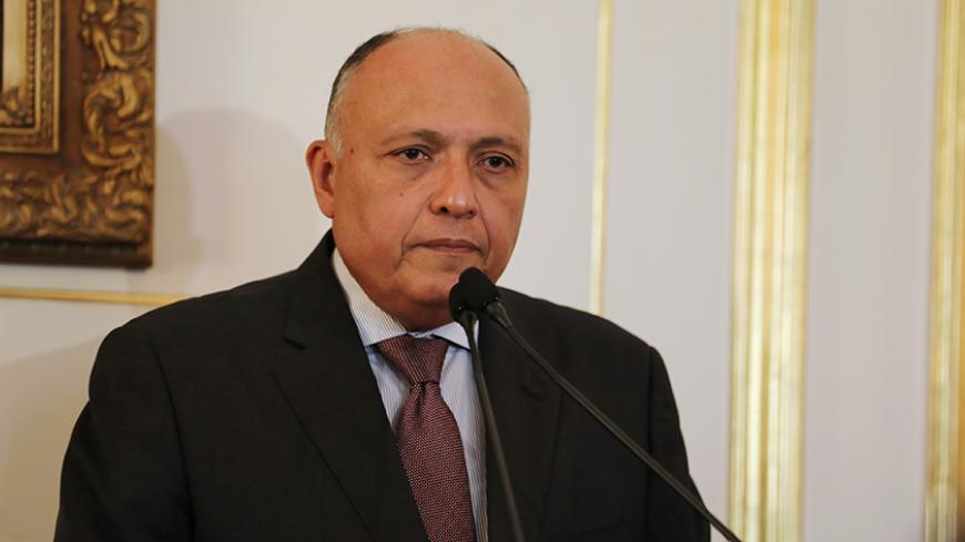 Egypt's Foreign Minister Sameh Shukri speaks during a news conference after meeting with representatives from Libya's neighbour states and United Nations' envoy for Libya, Martin Kobler, in Cairo, Egypt January 21, 2017. REUTERS/Mohamed Abd El Ghany - RTSWOHO