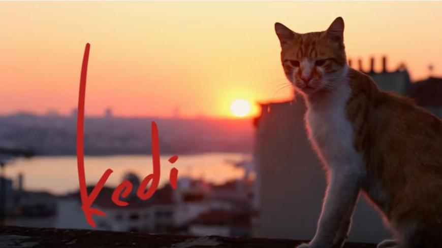 keditrailer.JPG